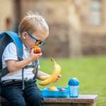 Si kecil pasti senang saat diajak makan bersama keluarga. Namun, bagaimana jika ia mulai bosan dan sulit untuk diajak makan? Nah, jangan khawatir! Kini ada solusinya, yaitu dengan membeli tempat makan khusus anak yang praktis dan lucu.