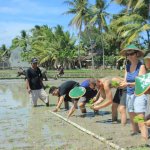 Hiruk pikuk kota sering kali membuat Anda cepat lelah. Kalau begitu menikmati suasana alam dan pedesaan mungkin bisa menjadi obat yang tepat untuk rasa lelah Anda. Tak hanya menawarkan wisata kuliner, sejarah, dan belanja, Yogya juga menyuguhkan wisata alam yang cantik.