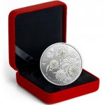 Silver Coins for Gifting: 10 Silver Coin Options for Giving on Auspicious and Memorable Occasions (2019)