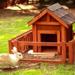 Anda memiliki kelinci peliharaan dan ingin memberikan tempat yang aman dan nyaman untuknya? Kandang kelinci adalah solusi yang ideal untuk menciptakan lingkungan yang sesuai dengan kebutuhan si hewan.