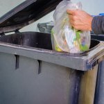 Tempat sampah adalah barang yang sangat vital dalam sebuah hunian. Kamu bisa hidup lebih bersih dan sehat dengan tempat sampah yang tepat. Simak tips memilih tempat sampah dan juga rekomendasinya dari kami di bawah !