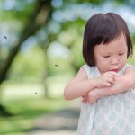 Dalam artikel ini, kami akan memberikan rekomendasi produk anti nyamuk yang aman dan efektif untuk bayi. Perlindungan dari gigitan nyamuk sangat penting untuk menjaga kenyamanan tidur bayi dan mencegah penyakit yang dapat ditularkan oleh nyamuk.