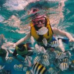 Snorkeling memang sangat menyenangkan. Aktivitas ini akan lebih seru jika kamu melakukannya bersama saudara dan teman. Kamu bisa pilih Bali sebagai tujuan snorkeling-mu! Cek lokasinya yuk!