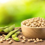 Kacang kedelai tergolong sebagai salah satu makanan yang disebut superfood. Apa saja sih kelebihan dari makanan berbahan dasar kedelai? Dan apa saja contoh makanannya? Yuk, simak pembahasannya bersama BP-Guide!