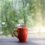 Sakit tenggorokan tentu saja membuat kita tidak nyaman dan menghambat aktivitas, bahkan bisa membuat kita harus bed rest beberapa saat. Tetapi jangan khawatir, BP-Guide akan memberikan beberapa minuman yang cocok dikonsumsi ketika sakit tenggorokan.