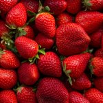 Siapa yang bisa menolak manisnya buah strawberry yang matang sempurna? Anda pasti ingin tahu jenis strawberry mana yang memiliki cita rasa paling memikat dan produk-produk lezat apa yang bisa Anda nikmati dengan buah ini. Mari kita jatuh cinta pada manisnya dunia strawberry yang tak tertandingi.