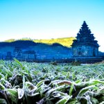 Wonosobo merupakan sebuah kota yang sejuk, damai serta terletak di tengah-tengah provinsi Jawa Tengah. Dikelilingi deretan pegunungan seperti Sindoro, Sumbing, dataran tinggi Dieng, sehingga menjadikan kota ini berhawa sejuk. Kamu berencana wisata di pegunungan? Wonosobo adalah kota yang pas untuk kamu tuju. Berikut BP-Guide akan merekomendasikan tempat wisata di sekitar Wonosobo dan juga rekomendasi hotelnya