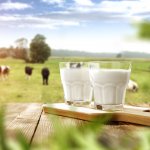 Sữa là một thực phẩm có rất nhiều dinh dưỡng và dễ uống. Mọi người ở mọi lứa tuổi đều có thể uống sữa, đặc biệt là trẻ nhỏ. Và để hỗ trợ tốt hơn cho việc chăm sóc các bé của những vị phụ huynh bận rộn, sản phẩm sữa gói cho trẻ đã ra đời. Với Gợi ý 10 sữa gói cung cấp dinh dưỡng toàn diện cho sự phát triển của bé yêu nhà bạn (năm 2022) dưới đây, chắc chắn sẽ giúp bạn tìm ra sản phẩm sữa gói đầy dinh dưỡng và phù hợp cho các bé nhà bạn.