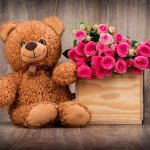 Flowers and teddy bears are the most charming gifts to make your sweetheart happy. Be it your first Valentine's Day celebration, your girlfriend's birthday or first marriage anniversary, these delightful combos of flowers and teddy bear are perfect to make your partner feel on top of the world and express how much you care about them.