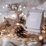 Tahun baru identik dirayakan dengan menyalakan kembang api, meniup terompet, dan berkumpul bersama dengan keluarga atau kerabat dekat. Selain dengan berkumpul bersama, momen tahun baru juga cocok untuk memberikan hadiah kepada orang yang spesial. 