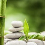 Bambu seringkali dimanfaatkan menjadi aneka benda keperluan rumah tangga. Kamu juga bisa memanfaatkan bambu ini untuk membuat aneka kerajinan tangan yang menarik dengan mudah. BP-Guide punya beberapa tutorial kerajinan tangan dari bambu yang bisa kamu buat sendiri di rumah.