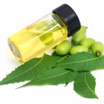 India is no stranger to the multifarious virtues of neem oil which is being used in the country in various forms for centuries. If you are conscious about your skin, hair and overall health then it is time that you made neem oil a part of your daily routine. This BP Guide will share with you the numerous uses of neem oil and how it brings so many benefits to your health and wellbeing. 