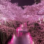 Ada yang sedang pengen berlibur ke luar negeri ya? Kalau BP-Guide tebak, pasti pengen ke Jepang kan? Bicara soal berlibur ke luar negeri, tentu biaya yang kita siapkan tidaklah sedikit. Tapi, kami akan share rahasia tour ke Jepang dengan biaya murah! Mau tahu? Cekidot!