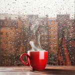 Menyeruput kopi di pagi hari atau saat cuaca mendung memang terasa lebih nikmat. Nyatanya, meminum kopi panas di pagi hari menyimpan banyak manfaat bagi tubuh. Di antaranya menjadi mood booster bagi aktivitas rutin Anda.
