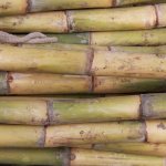 Anda baru memulai usaha menjual tusuk sate atau mungkin ingin usaha yang berkaitan dengan bambu lainnya seperti furnitur? Maka Anda wajib punya mesin pemotong bambu. Alat yang satu ini bikin usaha Anda jadi lebih cepat selesai dan lebih mudah. Cek rekomendasi dari kami, ya!