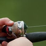 Gemar memancing? Tentunya, Anda membutuhkan perlengkapan yang paling pas untuk mendukung kegiatan Anda. Salah satunya reel yang akan memudahkan Anda untuk mendapatkan hasil terbaik. Dalam artikel berikut ini, BP-Guide merekomendasikan reel pancing ultralight yang pas untuk Anda.