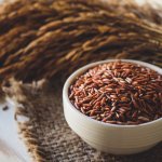 Beras cokelat mengandung banyak serat dan vitamin yang cukup tinggi dibandingkan beras putih. Beras cokelat juga dikenal sebagai beras pecah kulit,  karena prosesnya hanya dikupas kulit arinya tidak sampai putih bersih. Tetapi jangan salah, meski berwarna cokelat dan tidak semenarik beras putih, beras cokelat memiliki banyak manfaatnya, lho. Yuk simak manfaatnya di sini!