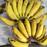 Selain bisa dimakan langsung, buah pisang enak juga diolah menjadi beragam camilan. Namun, tak semua pisang bisa diolah menjadi camilan yang sama. Beda pisangnya beda camilannya. Sekarang, BP-Guide akan mengajak kamu mengenal jenis pisang dan juga memberikan rekomendasi aneka resep olahan dari pisang.
