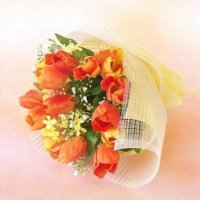 チューリップ (花束) 花のお見舞いプレゼント