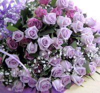 紫 (バラ) 花の誕生日プレゼント