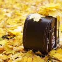 男の子の入学祝い小学校プレゼント