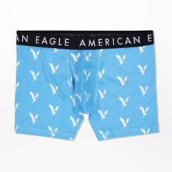 アメリカンイーグル ブリーフ
