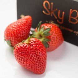 フルーツ（予算3000円以内）