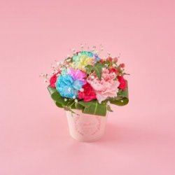 COLORFUL Flowers フラワーアレンジメント（3000円程度）