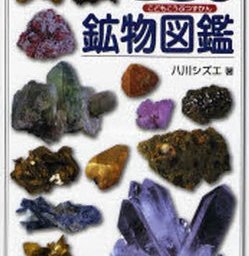 こどもへの図鑑 人気プレゼントランキング21 ベストプレゼント