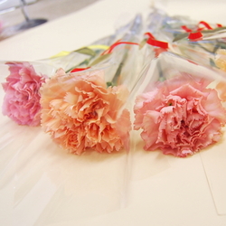 代 女性への送別会プレゼント 人気ランキング21 ベストプレゼント