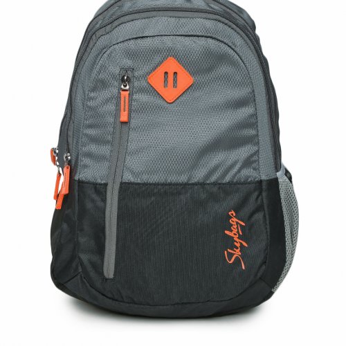 skybags unisex grey solid backpack