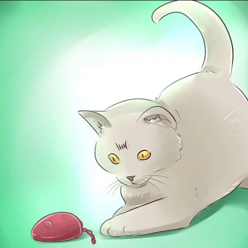 Bagaimana Langkah Awal Permainan Kucing  Dan Tikus Bali