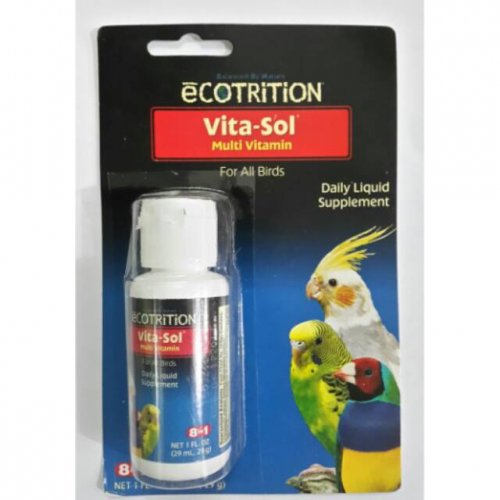 Tips Perawatan Cucak Ijo Agar Bersuara Merdu Dan 10 Rekomendasi