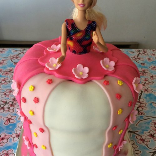 Barbie Doll Pink Ombre – Sugar Treat – Home Baking on the Gold Coast