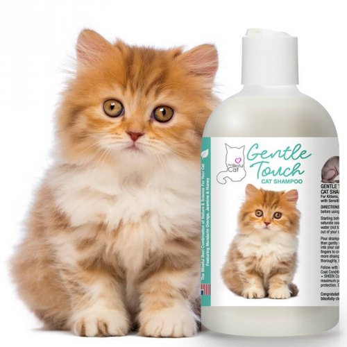 Bagus kutu kucing shampo anti dan jamur yang Rekomendasi &