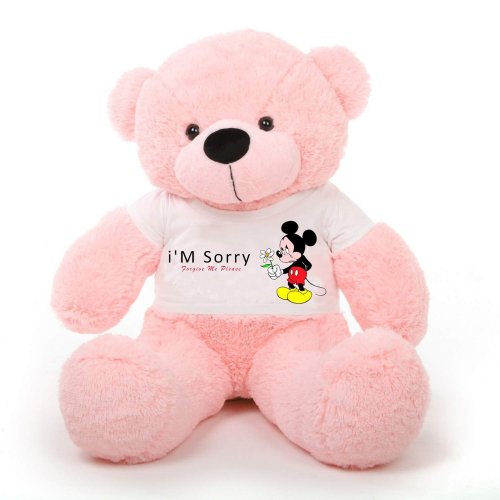 NEW Teddy Bear Cute Soft Cuddly SORRY I'M SUCH A JERK Gift Present 