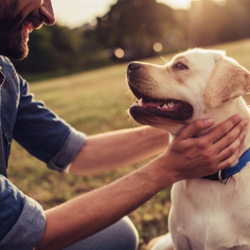 10 Thoughtful Gifts for Your Friend Who is a Dog Lover (2019)!