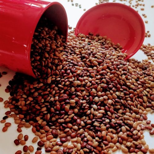 Know about the Magic Legume(2021): Take a Look at Horse Gram, the Miracle  Pulse, and How It Can Benefit Our Health.
