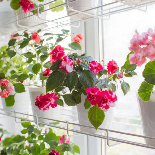 Miliki Tanaman Rapi Di Dalam Rumah Dengan 10 Rekomendasi Rak Bunga Minimalis Agar Suasana Rumah Semakin Segar 2020