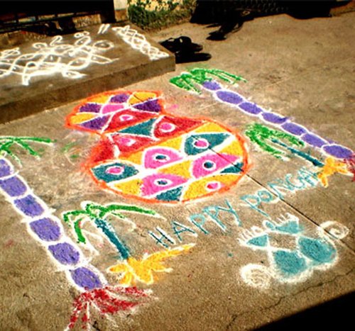 Simple And Easy To Create Pongal Kolam Designs To Decorate Your Home Traditionally