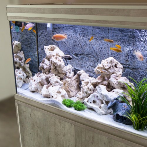 Aquarium Unik Dari Akrilik - Diy Aquarium Unik Dari Box ...