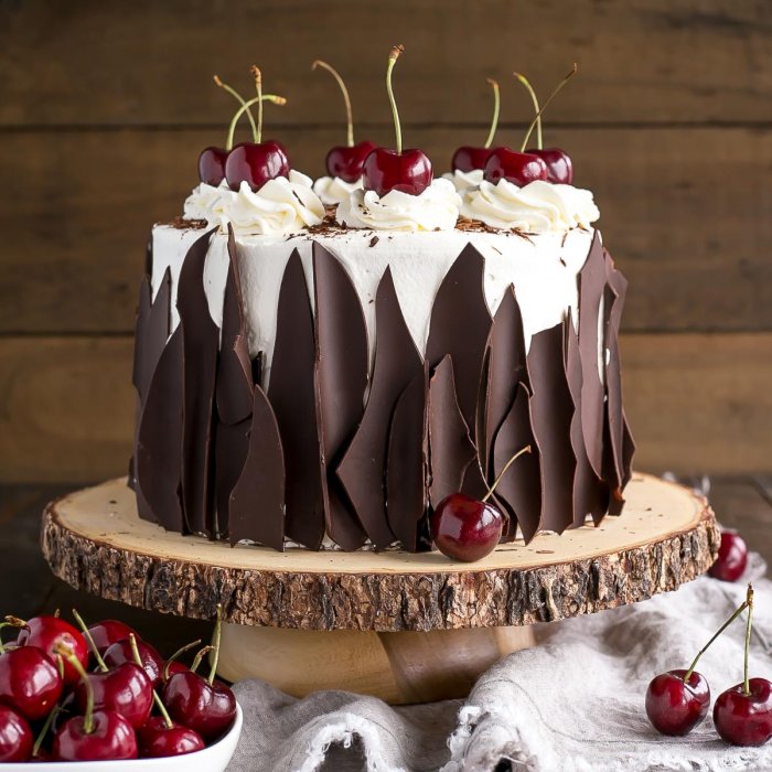 Vanilla Cake - Joyofbaking.com