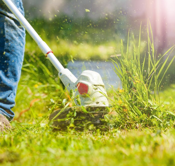 Yuk Kenali 10 Rekomendasi Mesin Potong Rumput Kecil Dan Tips Perawatannya