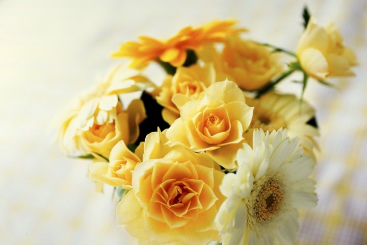 プリザーブドフラワーの贈り物2024！上品な仏花やおしゃれな時計などおすすめ商品をご紹介！