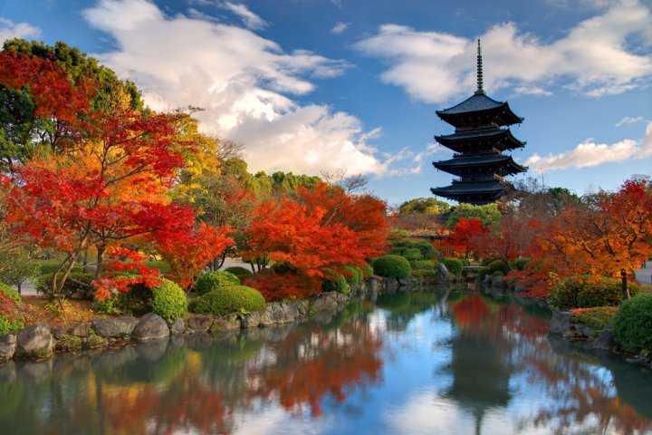 奈良で誕生日に人気の温泉2024！カップルにおすすめの温泉宿を厳選紹介！