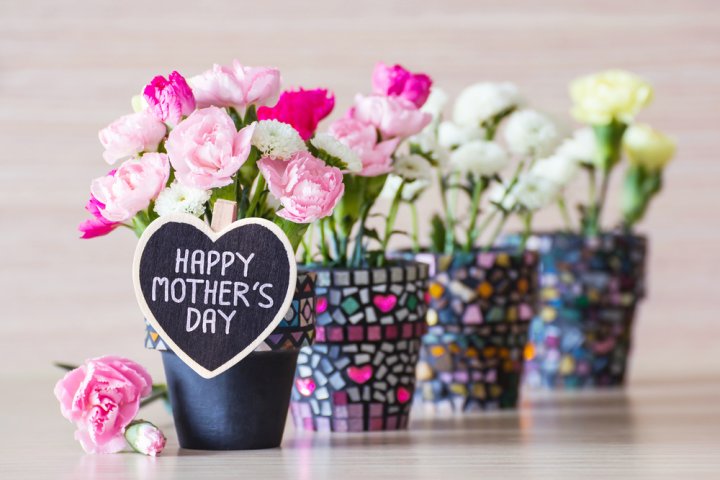 母の日ギフトにおすすめの花の鉢植え 人気ブランドランキングTOP18【2024年版】