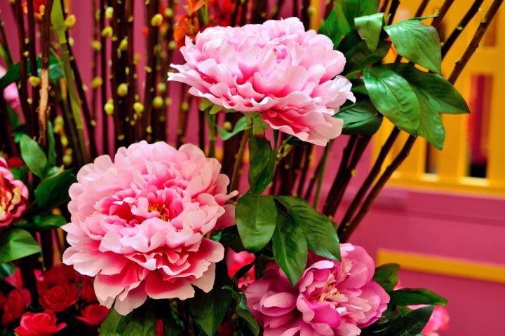 お正月に人気の花ギフト2024！おしゃれにアレンジされた花飾りがプレゼントにおすすめ！		