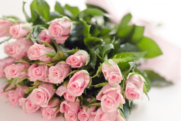母の日に人気のバラ 22選！鉢植えや花束などのおすすめや花言葉もご紹介