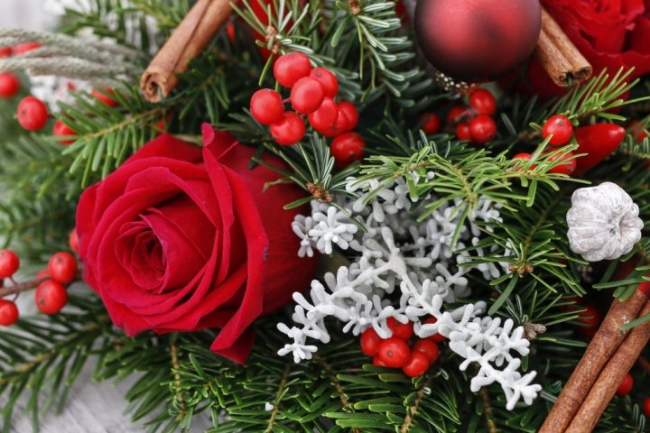 クリスマスに喜ばれる花ギフト2024！特別な女性へのプレゼントには真っ赤なバラの花束がおすすめ！		
