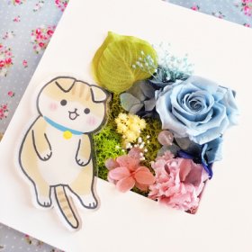 おもしろい花ギフト・花束